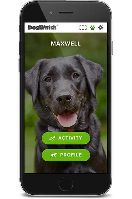 DogWatch of Southwest Virginia, Moneta, Virginia | SmartFence WebApp Image