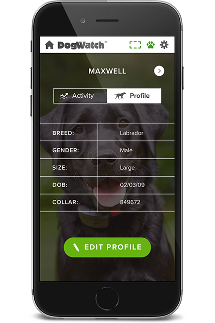 DogWatch of Southwest Virginia, Moneta, Virginia | SmartFence WebApp Image