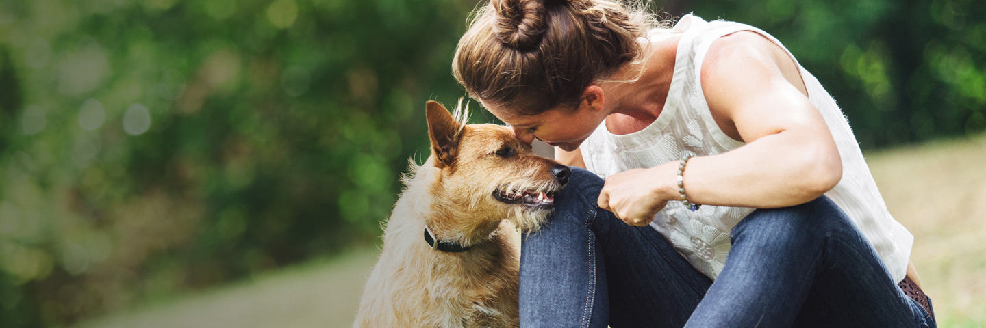 DogWatch of Southwest Virginia, Moneta, Virginia | BarkCollar No-Bark Trainer Slider Image