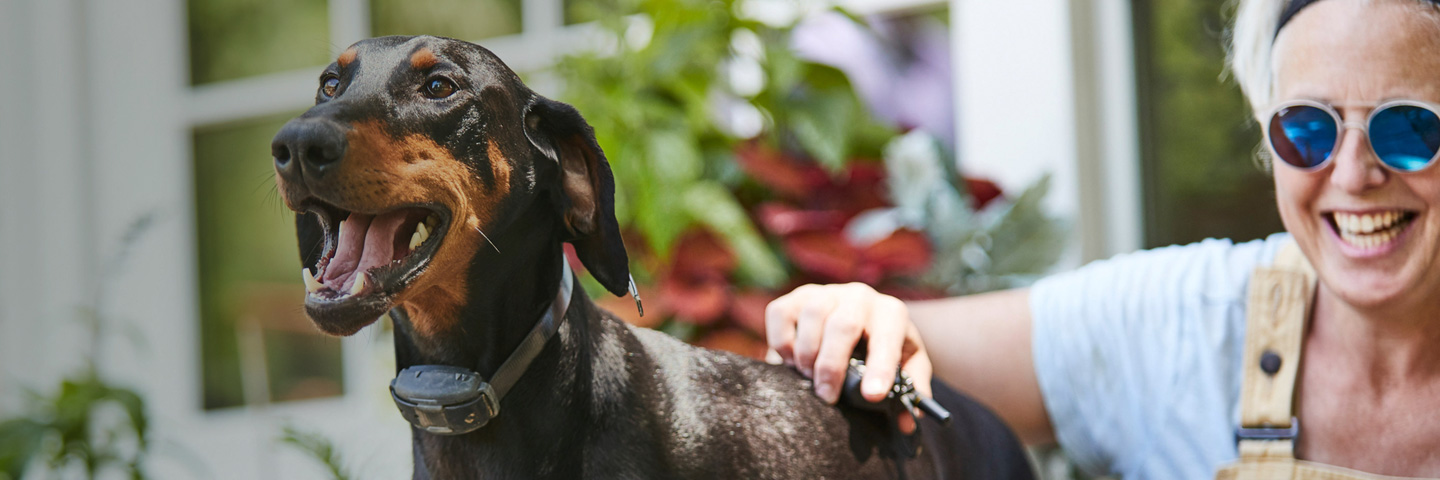 DogWatch of Southwest Virginia, Moneta, Virginia | BigLeash Remote Trainer Slider Image